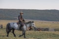 Mongol man on a dzungarian horse in northern Mongolia