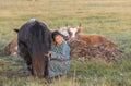 Huvsgul, Mongolia, September 6th, 2017: mongolian woman milking