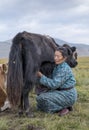 Huvsgul, Mongolia, September 6th, 2017: mongolian woman milking