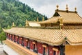 Gonlung Champa Ling(Youningsi). a famous Monastery in Huzhu, Qinghai, China.