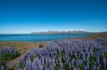 Hvalfjordur Fjord, Iceland