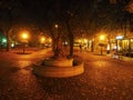 Hviezdoslav Square-Bratislava`s curious manNight beautiful beauty on the Danube-Bratislava