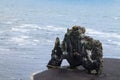 Hvitserkur sea stack, Iceland. Black sand beach