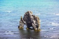 Hvitserkur troll rock basalt stack in Iceland