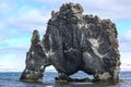 Hvitserkur troll rock basalt stack in Iceland