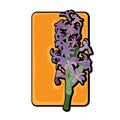 Hyacinth clip art yellow