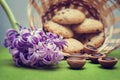 Hyacinth, cookies, candy and wicker basket
