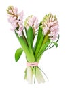 Hyacinth flower