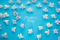 Hyacinth flowers on blue background with heart