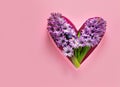 Hyacinth flowers in hole in heart shaped form over pink punchy pastel background Top view. Generative AI