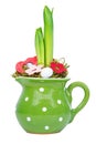 Hyacinth in green pot