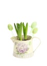 Hyacinth in a pot with Easter eggs