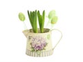 Hyacinth in a pot with Easter eggs