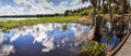 Hyacinth purple flower Hyacinthus  blooms in Seasonal flooded swamp Royalty Free Stock Photo