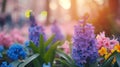 Hyacinths in the flowerbed greening the Cityscape Royalty Free Stock Photo