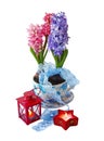 Hyacinths and red flashlights Royalty Free Stock Photo