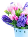 Hyacinths and tulips Royalty Free Stock Photo