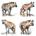 hyaenas watercolor illustration set