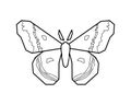 Hyalophora cecropia, cecropia moth stylized vector icon Royalty Free Stock Photo