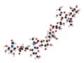 Hyaluronan (hyaluronic acid, hyaluronate) glycosaminoglycan molecule, short fragment. Part of extracellular matrix. Used as tumor Royalty Free Stock Photo