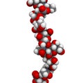 Hyaluronan (hyaluronic acid, hyaluronate) glycosaminoglycan molecule, short fragment. Part of extracellular matrix. Used as tumor Royalty Free Stock Photo