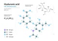 Hyaluronic acid. HA Hyaluronan. Structural chemical formula and molecule 3d model. Atoms with color coding. Vector Royalty Free Stock Photo