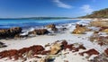 Hyams Beach, Jervis Bay Australia Royalty Free Stock Photo