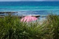 Pink umbrella at Hyams Beach