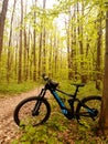 Hybrid Electric Bike with wood background