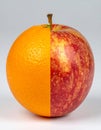 Hybrid Fruit Featuring Half Orange and Half Apple in Studio Lighting on White Background Royalty Free Stock Photo