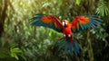 Hybrid parrots in forest. Macaw parrot flying in dark green vegetation Royalty Free Stock Photo