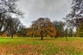 Hyde Park - London Royalty Free Stock Photo