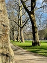 Hyde Park, London, England, in the spring Royalty Free Stock Photo