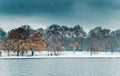 Hyde Park in Winter