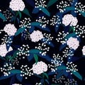 Hydenyear pattern seamless flowers Pattern Isolated on black col