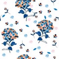 Hydenyear pattern seamless flowers Pattern Isolated on white and Royalty Free Stock Photo