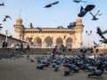 Pigeons in front of Mecca Masjid, a famous monument in Hyderabad, India.