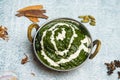 Hyderabadi Green Chicken or palak paneer, saag and palk gosht served in a dish isolated on grey background top view of bangladesh