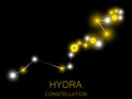 Hydra constellation. Bright yellow stars in the night sky. A cluster of stars in deep space, the universe. Vector illustration