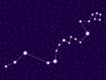 Hydra constellation. Starry night sky. Space objects, galaxy. Vector