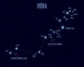 Hydra constellation, vector illustration with the names of basic stars