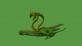 Hydra mystical water snake roars - isolated on green screen