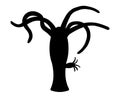 Black silhouette of Freshwater hydra. Royalty Free Stock Photo