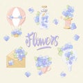 Beautiful hydrangea flowers and isolated objects