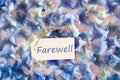 Hydrangea Flat Lay, Text Farewell, Flower Background