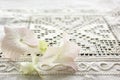 Hydrangea flower on an antique table clothe