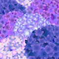 Hydrangea Flower Background Royalty Free Stock Photo
