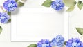 hydrangea, flower, frame, material, background, garden, plant, nature, bouquet, season, beautiful, colorful, watercolor,