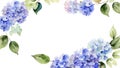 hydrangea, flower, frame, material, background, garden, plant, nature, bouquet, season, beautiful, colorful, watercolor,