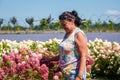 Hydrangea flower garden and gardener. Summer field of hydrangea. Woman florist and hydrangea. Woman in summer spring nature. Royalty Free Stock Photo